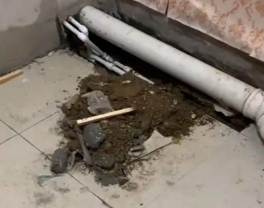 临潼卫生间漏水检测哪家好